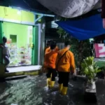 1000559248.jpg-750x536